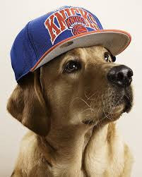 Dog Baseball cap