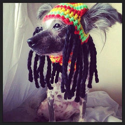 The Rastafari