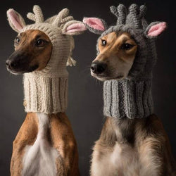 Reindeer Dog hat