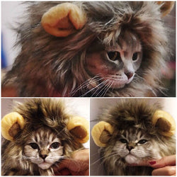 Furry Gatos Jouet Chat Katten
