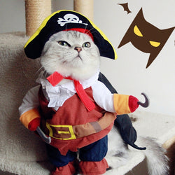 Funny Pet Cat Pirate Costume