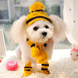 Winter Pet Puppy Accessories