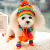 Winter Pet Puppy Accessories